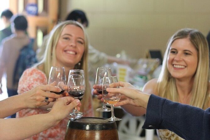 Tamborine Explorer from Brisbane - Who Should Consider This Tour?