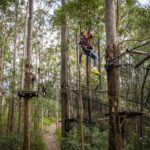 Tamborine Mountain TreeTop Challenge Adventure Park - Who Will Love This Experience