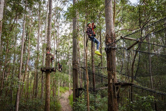 Tamborine Mountain TreeTop Challenge Adventure Park - Who Will Love This Experience