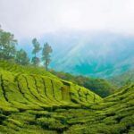 Tarey Bhir Buddhist Ridge Tour (3 Days / 2 Nights) - The Practical Side: What Travelers Should Know