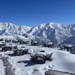 Tashkent Mountain Tour - Details of the Itinerary and Experience