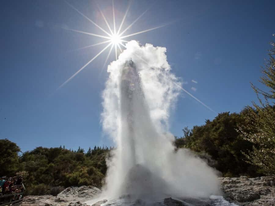 Tauranga: Wai-o-Tapu with Redwood Forest Walk or Forest Spa - Redwood Forest: Giants of Nature
