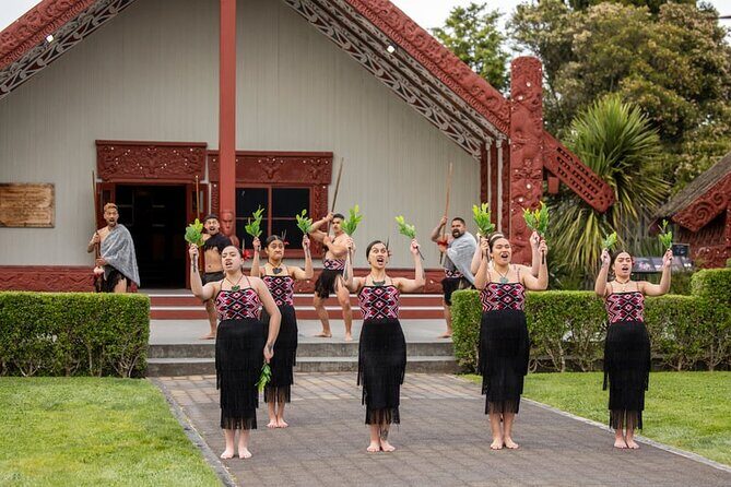 Te Puia Geothermal, Kiwi and Mori Art - Practical Details and Considerations