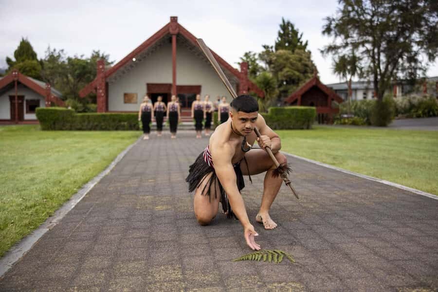 Te Puia: Te R Guided Day Tour + Haka Cultural Performance - An In-Depth Look at the Tour