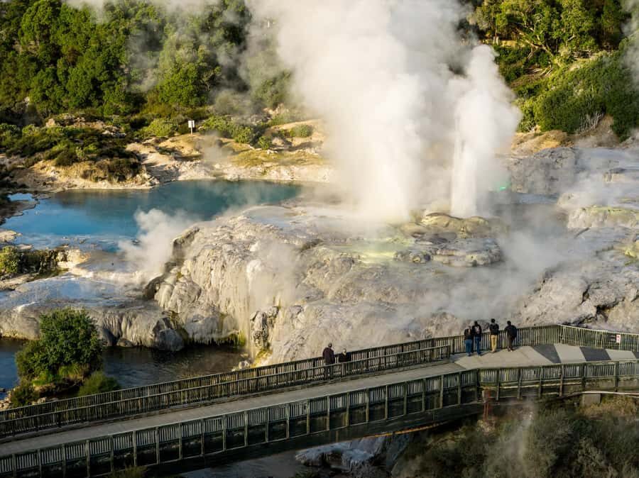 Te Puia: Te R Guided Day Tour - What to Expect: Practical Details