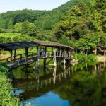 Tea Ceremony Charcoal Kiln Visit and Coffee Time in Uchiko Town - A Closer Look at the Itinerary: What to Expect