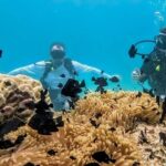 Teahupo'o Jurassic Tour and Private Diving - Transportation & Group Size