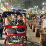 Temples, Bazaars & Food Tasting in Old Delhi with Female Guide - Who Will Love This Tour?