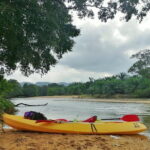 Terengganu Wildlife Kayak Tour - The Sum Up