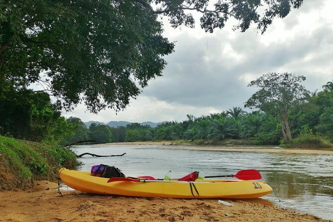Terengganu Wildlife Kayak Tour - The Sum Up