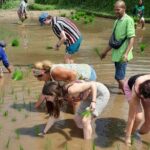 Tetebatu Countryside and Waterfall Day Tour - What’s Included and What’s Not?