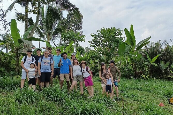 Tetebatu Guided Tour in Rice Terraces Waterfall and Monkey Forest - Authentic Reviews and Insights