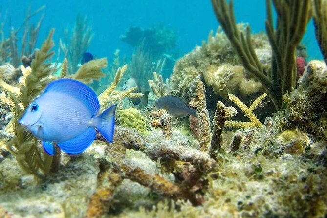 The Baths, Virgin Gorda, Cooper Island & Norman Island Snorkel - The Experience in Context