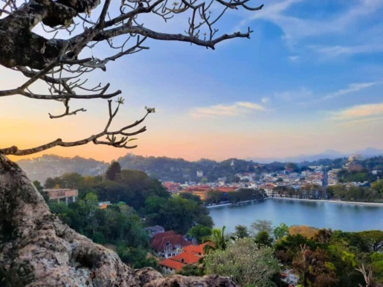 The Best of Kandy by Tuk-Tuk - The Itinerary: A Day Packed with Iconic Sites and Unique Encounters