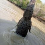 The best tour of Litchfield and crocodiles on the river - Detailed Breakdown of the Itinerary