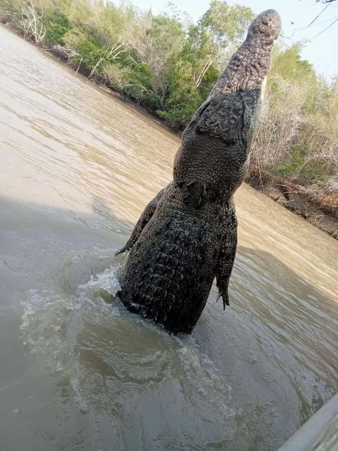 The best tour of Litchfield and crocodiles on the river - Detailed Breakdown of the Itinerary