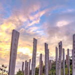 The Big Buddha & Lantau Island - Private Tour with Private Car - Practical Details and Tips