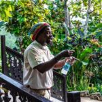 The Essential Bob Marley Tour: Visit His Home and more - What Makes This Tour Stand Out?