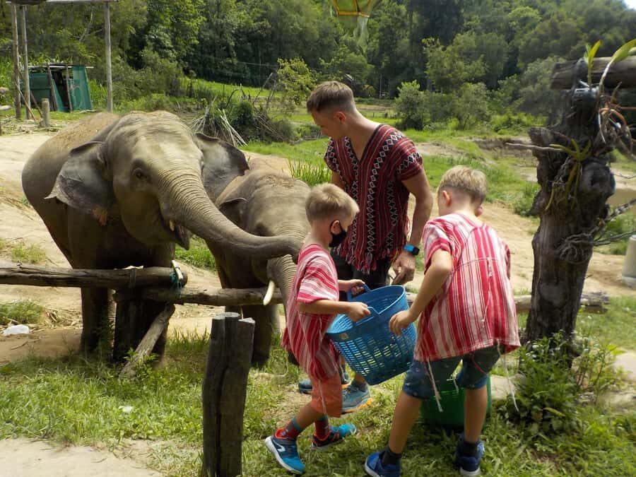 The Must-Do: Authentic Elephant & Village Life in Chiang Mai - An In-Depth Look at the Experience