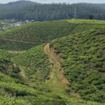 The Pekoe Trail Stage 16- Ella to Demodara - The Experience from a Traveller’s Perspective