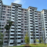 The Real Singapore Heartland Walking Food Tour - Who Would Love This Tour?