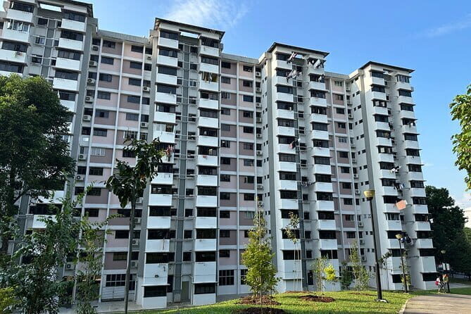 The Real Singapore Heartland Walking Food Tour - Who Would Love This Tour?