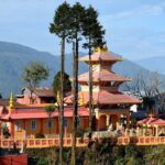 The Travel Tart (5 Point). - Who is This Tour Best For?