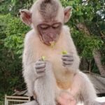 The Uluwatu Tour - The Practical Side: Transportation, Timing, and Value