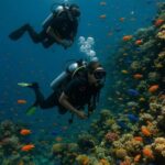 Three-Days Scuba Diving Certification Program  Negril - The Unique Charm of Diving in Negril