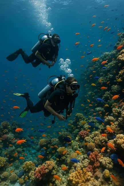 Three-Days Scuba Diving Certification Program Negril - The Unique Charm of Diving in Negril
