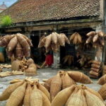 Three Traditional Villages Private Day Tour from Hanoi - What’s Included and What to Consider