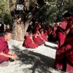 Tibet 8-Day Tour including Mount Everest Base Camp - Who Will Love This Tour?