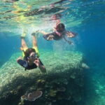 Tioman Coral Island Snorkeling & Island Hopping Tour - The Experience: Transportation, Group Size, and Practicalities