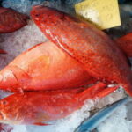 Tiong Bahru: Explore Singapore's Oldest Estate (Mandarin ) - Exploring the Wet Market and Local Life