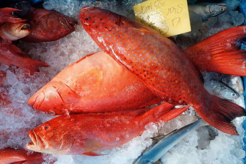 Tiong Bahru: Explore Singapore's Oldest Estate (Mandarin ) - Exploring the Wet Market and Local Life
