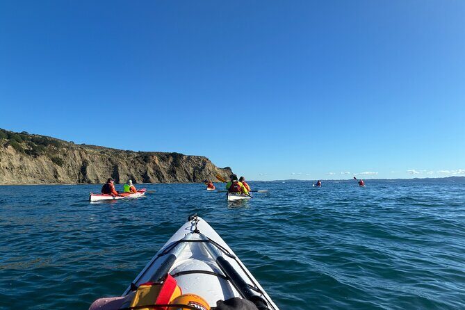 Tiritiri Matangi Sea Kayak Tour - What’s Included & What You’ll Need to Know