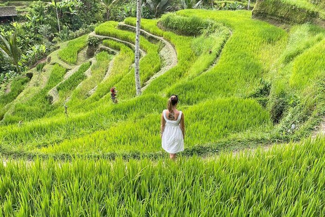 Tirta Empul temple, Jungle Swing and Waterfalls - Private Tour - Tirta Empul: Sacred Water Temple