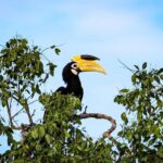 Tissamaharama: Sunrise Birdwatching Tour with Breakfast - The Itinerary Breakdown
