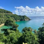 Tobago: Island Tour with Rainforest Drive and Scenic Lookout - Practical Details & Tips
