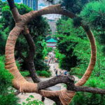 Tokio A: Tour de la ciudad en Español - Spanish - Practical Details and Logistics