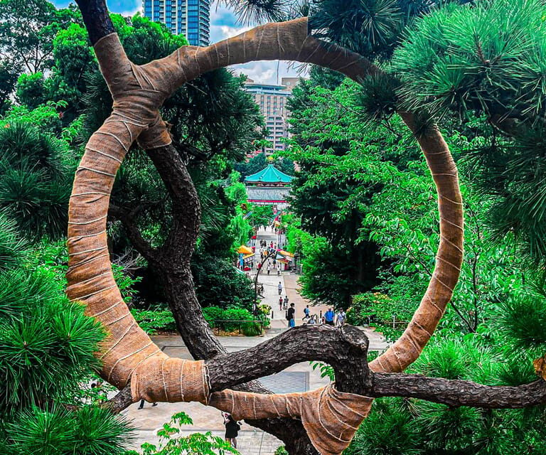 Tokio A: Tour de la ciudad en Español - Spanish - Practical Details and Logistics