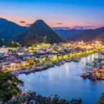 Tokyo: 2-Day Izu Coast & Cherry Blossom Trip in small group - What Makes This Tour Stand Out?