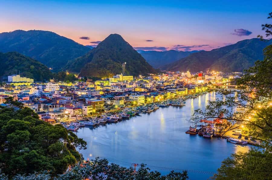 Tokyo: 2-Day Izu Coast & Cherry Blossom Trip in small group - What Makes This Tour Stand Out?