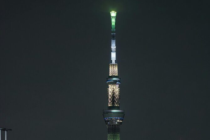 Tokyo After Dark Scenic Night Tour - What’s Included and What’s Not  