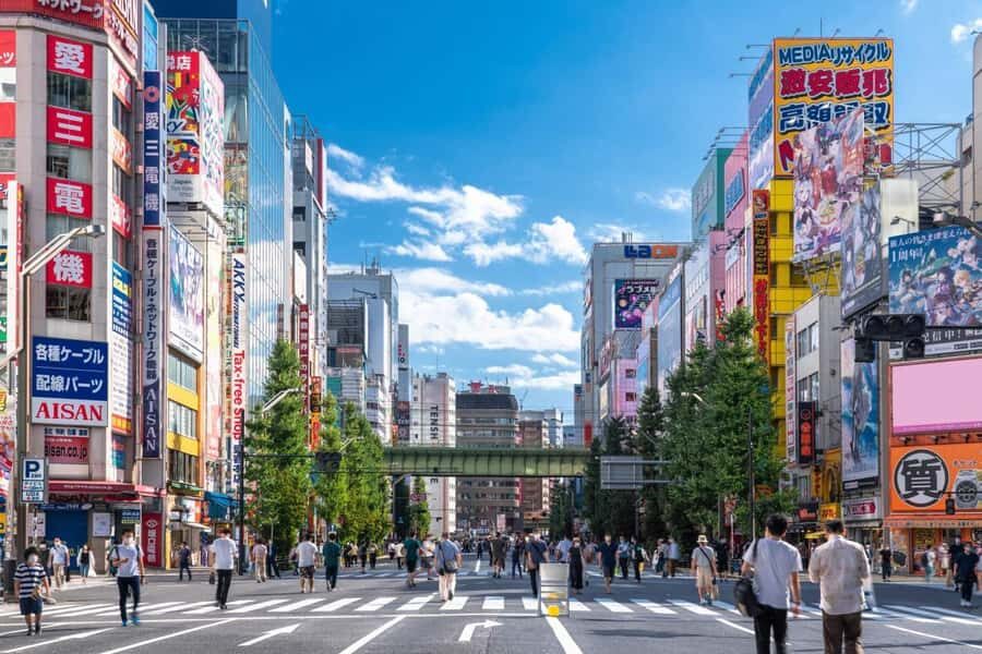 Tokyo: Akihabara Anime, Manga, and Games Walking Tour - Final Thoughts: Who Will Love This Tour?