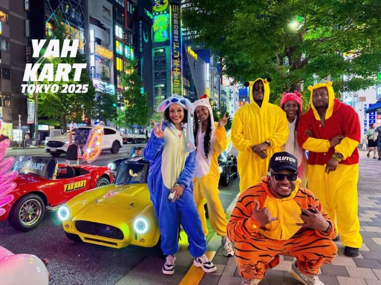 Tokyo: Akihabara Go-Karting Experience (including guide) - Who Will Love This Tour?