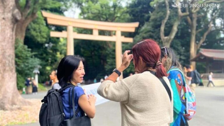 Tokyo: Anywhere you like! Tokyo Customized Tour in 5 hours - Practical Tips for Making the Most of Your Tour