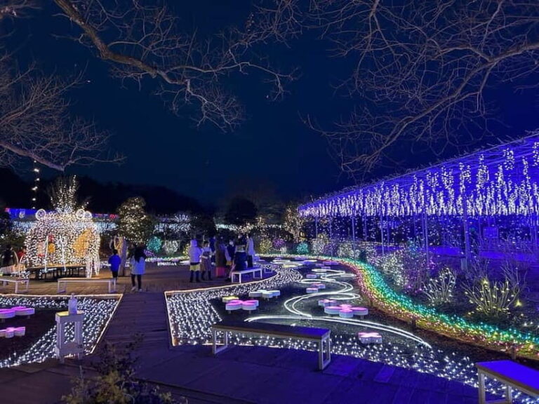 Tokyo: Ashikaga Flower Park with Entry Ticket - What the Tour Offers