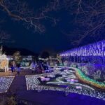 Tokyo: Ashikaga Flower Park with Entry Ticket - What to Expect on Your Visit