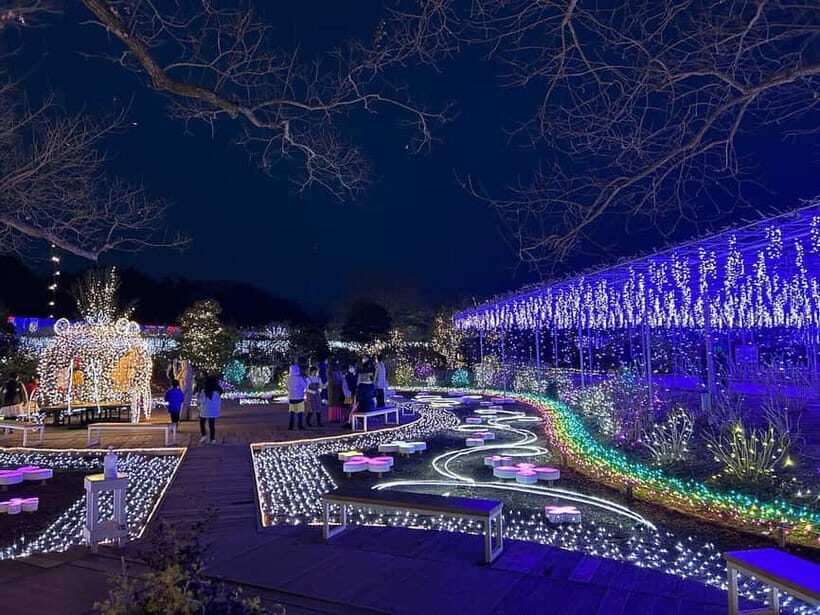 Tokyo: Ashikaga Flower Park with Entry Ticket - What to Expect on Your Visit